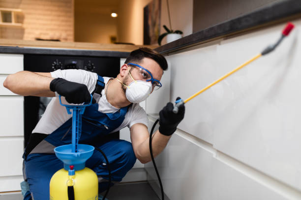 Best Affordable Pest Control Services  in Fenton, MI