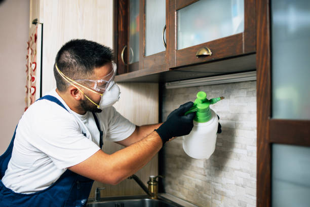 Best Insect Control  in Fenton, MI