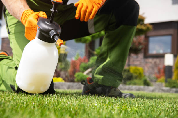Best Pest Control Treatment  in Fenton, MI