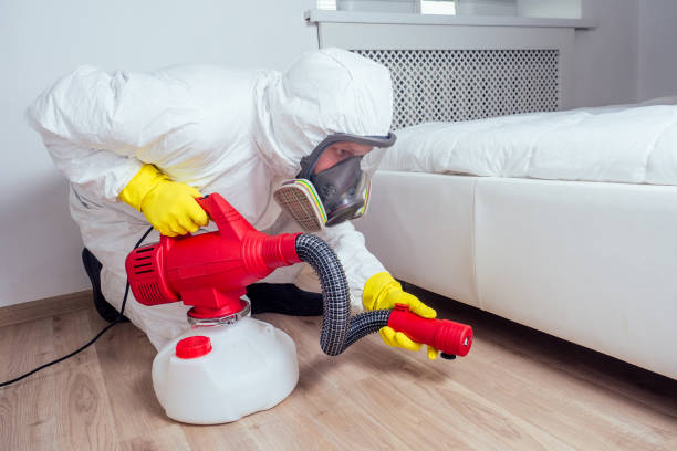 Best Rodent Control Near Me  in Fenton, MI