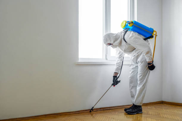Best Affordable Pest Control Services  in Fenton, MI