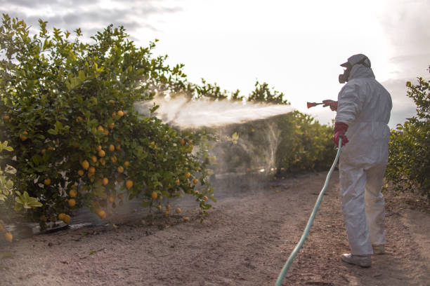 Best Exterminator Services  in Fenton, MI