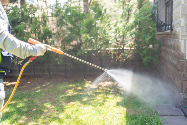 Best Wasp Removal Services  in Fenton, MI