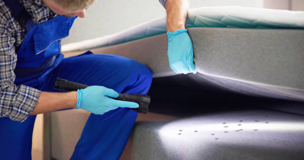 Best Pest Inspection Near Me  in Fenton, MI