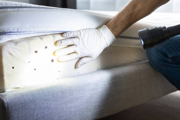 Best Pest Control Near Me  in Fenton, MI