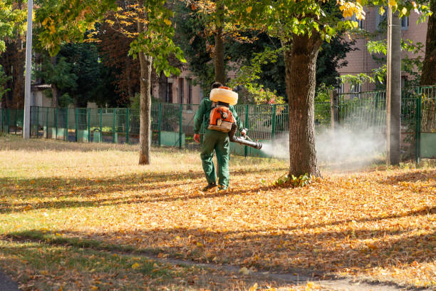  Fenton, MI Pest Control Pros
