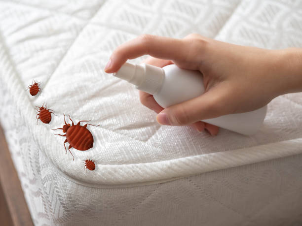 Best Wasp Removal Services  in Fenton, MI