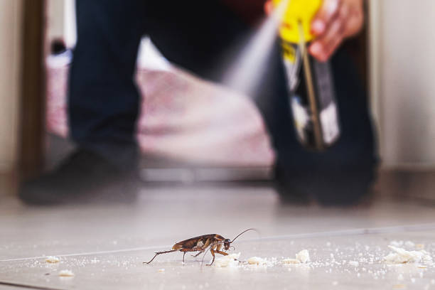 Best Cockroach Control Services  in Fenton, MI